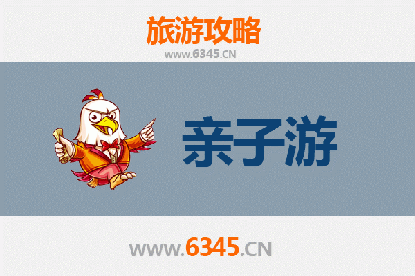 阜阳颍上亲子游攻略：探索皖北水乡的自然与人文乐趣